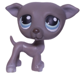 #0319 Greyhound